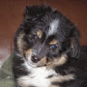 Meet your Posher, Barbie